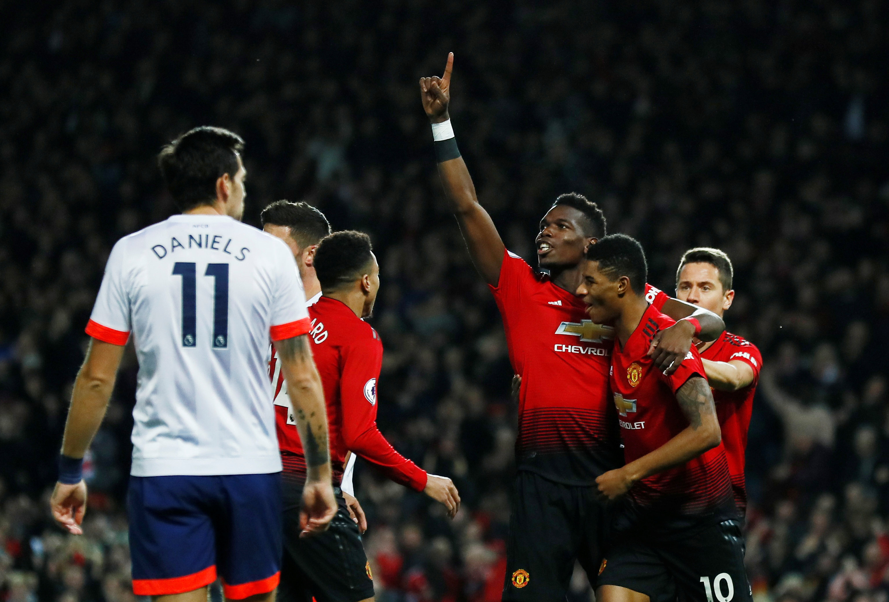 化和多元化 化和多元化